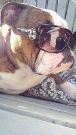 2012-07-01_19-05-10_550.jpg 2012-07-01_19-05-10_550.jpg