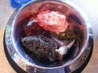 photo 2.webp
