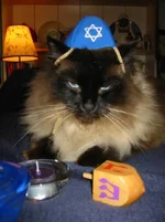 IMG_0103.webp IMG_0103.webp