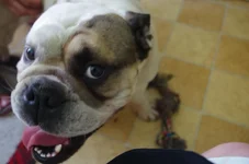 IMGP3082.webp