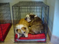 The Boys 001.webp
