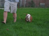 IMG_1687.jpg