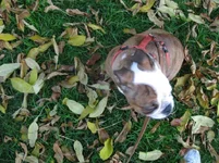 IMG_1911.webp