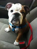 Guinness Car Ride.webp
