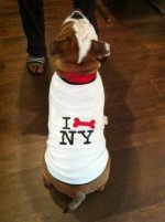 Guinness NYC shirt.jpg