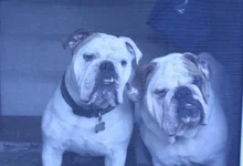 the boys.webp the boys.webp