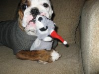 IMG_2166.jpg IMG_2166.jpg