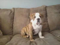 9 weeks.webp