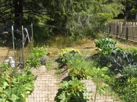 garden.webp garden.webp