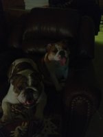 12.29.11 Nigel & Karly.jpg 12.29.11 Nigel & Karly.jpg