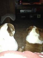 watching snoopy with mom.jpg watching snoopy with mom.jpg