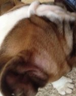 IMG_0415.jpg IMG_0415.jpg