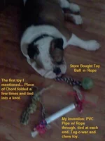 Rev's_Toys.webp