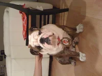 IMG_0054.webp IMG_0054.webp