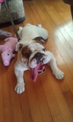 imagejpeg_3.webp imagejpeg_3.webp