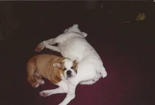baby gunny and lucy.webp