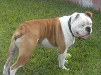 DSCN6304.webp