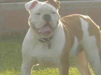 DSCN6306.webp