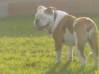 DSCN6307.webp