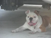 DSCN6309.webp