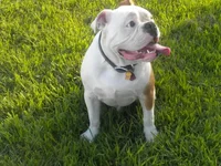 DSCN6310.webp