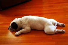 comfortable.webp