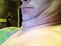 Chins.jpg