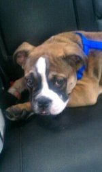 car ride.jpg car ride.jpg