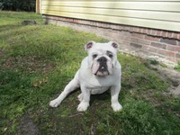 7mar2012 024.webp