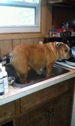 sarah after bath.jpg sarah after bath.jpg