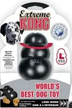 kong.webp kong.webp