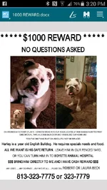 BulldogStolen.webp