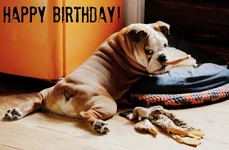 bday.webp