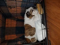 20160613_213737.webp