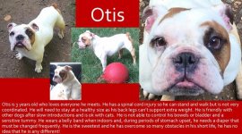 Otis2.jpg