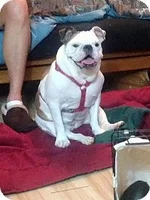 molly2.webp molly2.webp