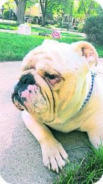 Sir Charles1.jpg Sir Charles1.jpg