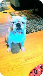 Sir Charles2.jpg Sir Charles2.jpg