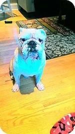 Sir Charles2.webp