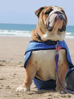 DSCN1487.webp
