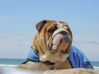 DSCN1494.webp
