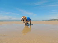 DSCN1509.webp