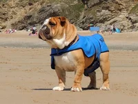 DSCN1515.webp
