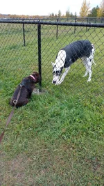 IMG_20160928_092001435.webp
