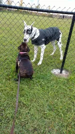 IMG_20160928_091953052.webp