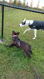 IMG_20160928_092010448.webp