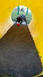 IMG_20160928_093144811.webp