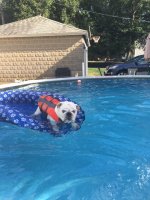 pool3.jpg pool3.jpg
