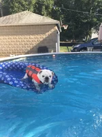 pool3.webp pool3.webp