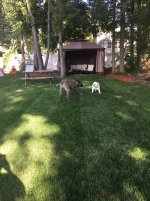 IMG_1803.jpg IMG_1803.jpg